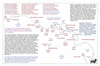 bau45 nuyts_thumb.gif